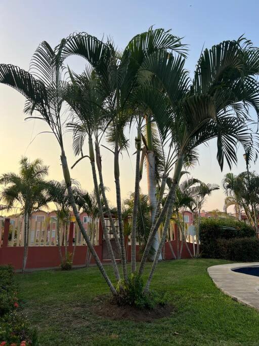 Apartament Casa Con Alberca A 8 Min De Playa Ixtapa  Zewnętrze zdjęcie